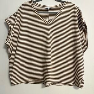 Brown Striped V-Neck Short Sleeve Top